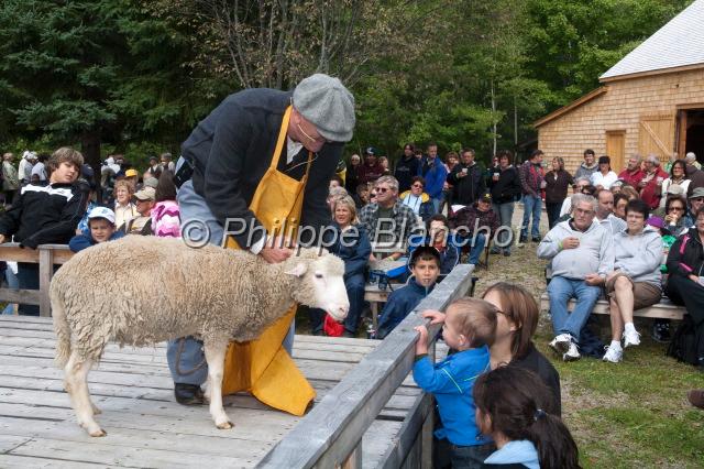canada nouveau brunswick 14.JPG - 33e foire agricole du village historique Acadien, Nouveau-Brunswick, Canada